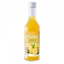 Сироп имбирный с лимоном на фруктозе, сироп для приема внутрь, 250 мл, 1 шт.
